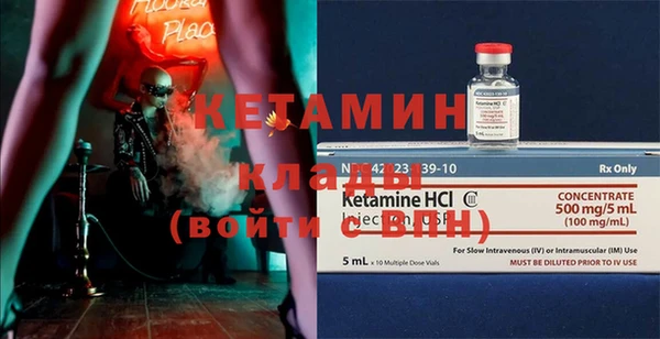 индика Алексин