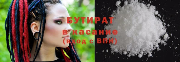 индика Алексин