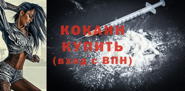 индика Алексин