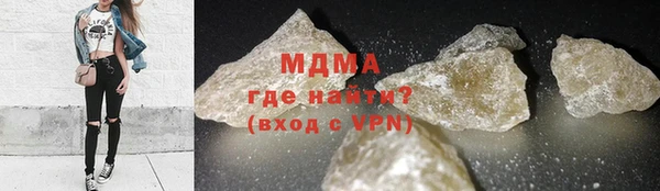 индика Алексин