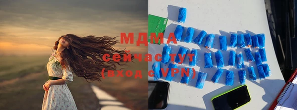 индика Алексин