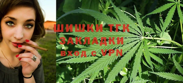 ALPHA PVP Покров