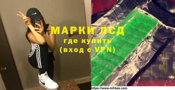 индика Алексин