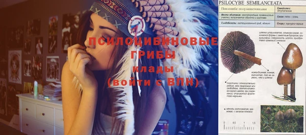 индика Алексин