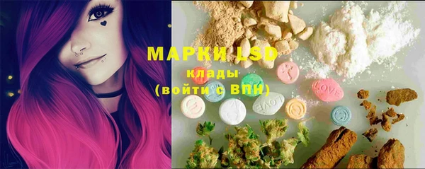дурь Алзамай