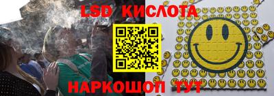 стаф Новокубанск