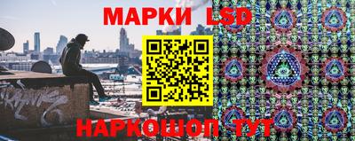стаф Новокубанск