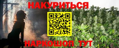 стаф Новокубанск