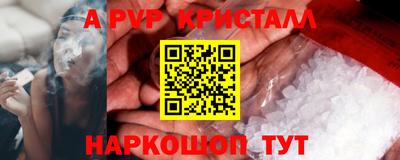 стаф Новокубанск