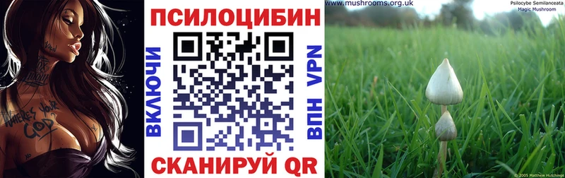 Псилоцибиновые грибы GOLDEN TEACHER Тула