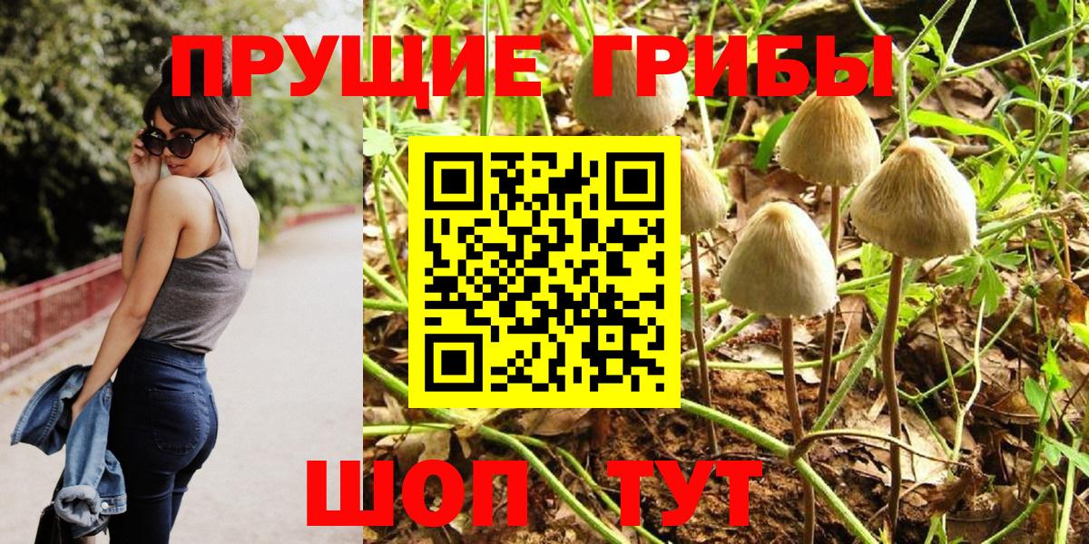 Псилоцибиновые грибы ЛСД Тула