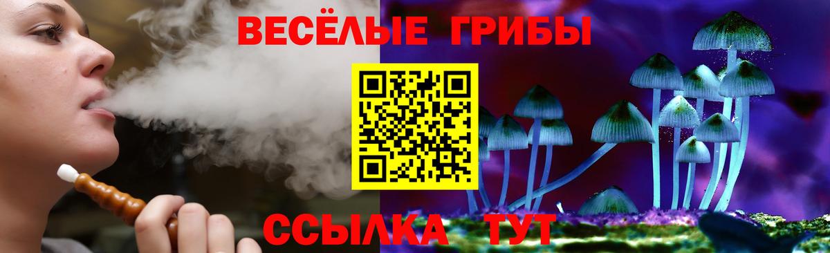 Псилоцибиновые грибы ЛСД  Вход с VPN  Галлюциногенные грибы MAGIC MUSHROOMS  Тула 